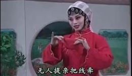 双秃闹洞房