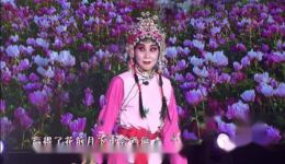 表花