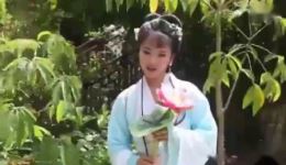 歌仔戏《曲池》在线观看与下载 - 闽南经典戏曲资源 歌仔戏《曲池》在线观看与下载 - 闽南经典戏曲资源
