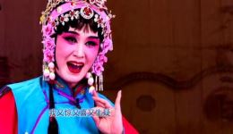 枣梆《风流才子》选段久旱巧逢甘露雨 张冬兰演唱 非遗戏曲在线收听 枣梆《风流才子》选段久旱巧逢甘露雨 张冬兰演唱 非遗戏曲在线收听