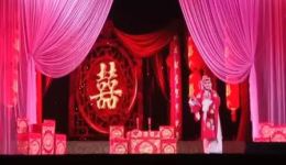 扬剧《凤还巢》拜堂选段高清下载｜谢巧兰经典演绎，传统戏曲精彩呈现下载