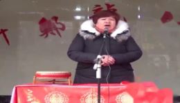 河南坠子《小寡妇改嫁》刘明霞演唱，经典曲艺在线畅听，领略传统坠子魅力下载