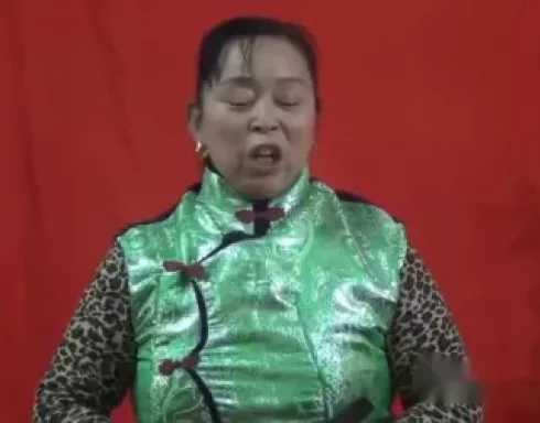 河南坠子《小海瑞断案》张秀荣演唱，经典曲艺资源在线下载