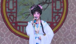 琼剧《打金枝》选段“在宫院”经典唱段在线下载,品味传统戏曲魅力 琼剧《打金枝》选段“在宫院”经典唱段在线下载,品味传统戏曲魅力