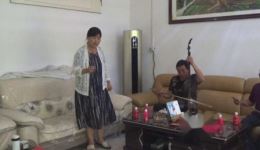 河南坠子《张生偷红娘》袁秀玲演唱，传统曲艺经典，在线下载资源下载