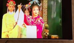 黄梅戏经典《女驸马》大结局资源下载，冯素珍李兆廷终成眷属，高清全场戏