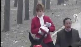 安徽民间小调《毛驴气死车》高清完整版下载 - 荆献顺韩三主演乡村喜剧下载