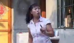 安徽民间小调《孙子栽树爷乘凉》下集高清下载 - 丁延果王素英主演，温情家庭故事戏曲资源下载
