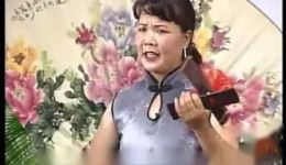一夜夫妻未同床