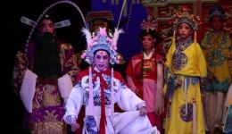 杨跃宗歌仔戏《孟丽君》第11集在线观看下载，经典戏曲资源免费获取下载