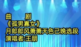 孤男寡女