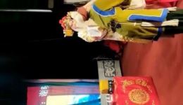 同根异果