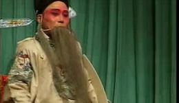 大平调经典《二进宫》王艳玲王东周赵玲娥主演，河南地方戏精品，忠义故事在线下载下载