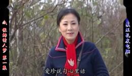 庐剧现代戏保姆的情人梦宽屏版