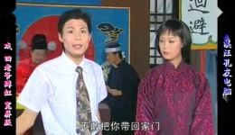 庐剧《SI老爷蹲缸》宽屏版下载 - 钱小燕等主演经典戏曲资源下载