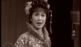 绝代红颜