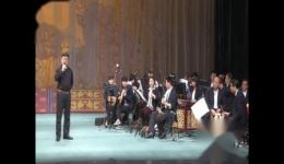 李祖勋经典楚剧《打金枝》《杨乃武与小白菜》高清资源下载，领略楚剧独特韵味