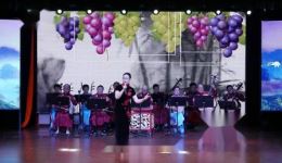 辰溪丝弦《摘葡萄》高清资源下载，经典地方戏曲在线畅享