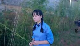 民间小调《送情郎》下载,醉人旋律超好听,速来获取! 民间小调《送情郎》下载,醉人旋律超好听,速来获取!