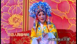 飞龙女