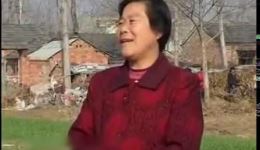 民间小调《江湖乞丐戏野花》席小岚宋天福刘大燕主演，精彩江湖故事在线下载下载
