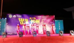洪山戏传统戏曲瑰宝，领略地方特色艺术魅力下载