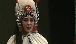 张新芳专辑