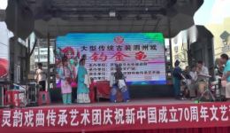 钓金龟