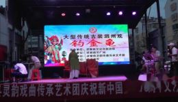钓金龟