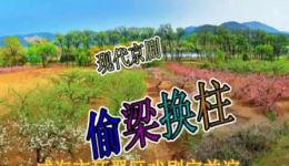 偷梁换柱