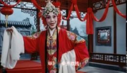 豫剧《五世请缨》高清全集下载｜魏俊英等名家演绎 经典百岁挂帅大戏下载