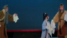 评剧《五女拜寿见双亲》刘洛含主演，经典戏曲在线下载，重温温情故事下载