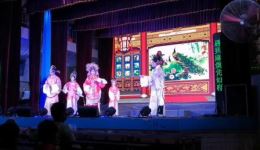 雷剧《梅花桩》全集下载林奋主演经典剧目，上集下集完整呈现