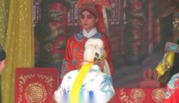 李彦龙征南