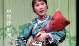 杨三姐告状