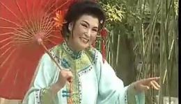 淮剧《快嘴婆说媒》王花兰领衔主演 经典乡土喜剧戏曲资源下载下载
