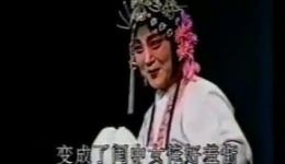 柳子戏《龙宝寺》选段下载 - 经典戏曲资源在线观看