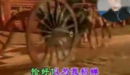 黄梅戏《幽幽的喜烛》选段下载，貂蝉故事经典戏曲片段资源