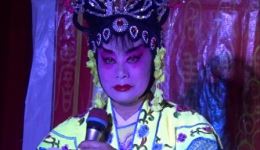 新宁县祁剧《打金枝》高清资源下载｜经典传统剧目完整呈现下载
