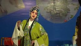 川剧弹戏《包公赔情》全场资源下载，唐光权李玲精彩演绎法与情的纠葛下载