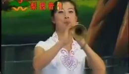 河南曲剧《屠夫状元》选段唢呐演奏，经典戏曲选段在线聆听