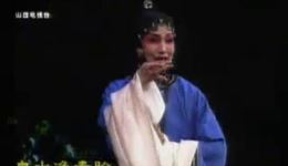 晋剧折子戏《采桑》胡嫦娥王红娟刘秀琴精彩演绎，在线观看下载下载