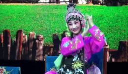 秦腔传统戏《拾玉镯》高清资源下载，候娜王双喜精彩演绎爱情佳话