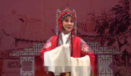 棒打无情郎