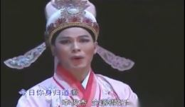 潮剧《剑胆琴心》选段梦鸳鸯 林初发深情演绎 经典戏曲资源下载下载