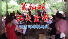 江头金桂