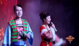 二人台大连唱下载，经典二人台曲目大集合，畅享地方戏曲盛宴