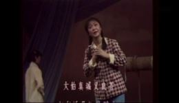 双美赞