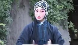 韩丽霞秦腔艺术专辑名家经典秦腔作品在线下载，领略传统戏曲魅力