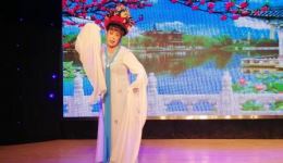 淮海戏《白马吟》选段范成俊演唱，经典唱段在线收听，感受传统戏曲魅力